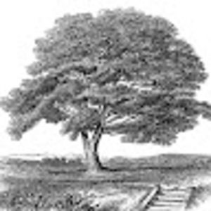 Meet your Posher, Meredith